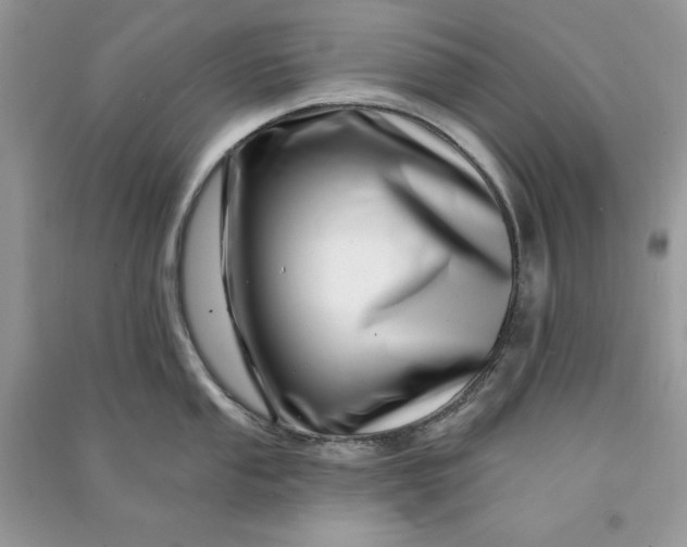 X0000090871053200708101330