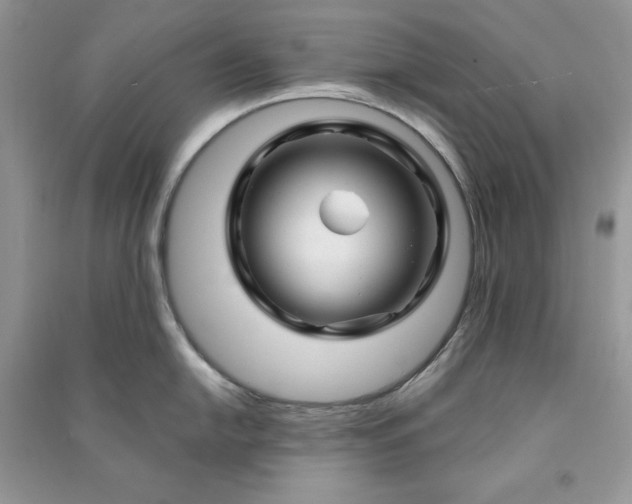 X0000090871054200708101330