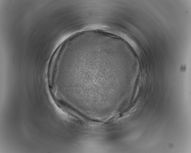 X0000090871055200708101330