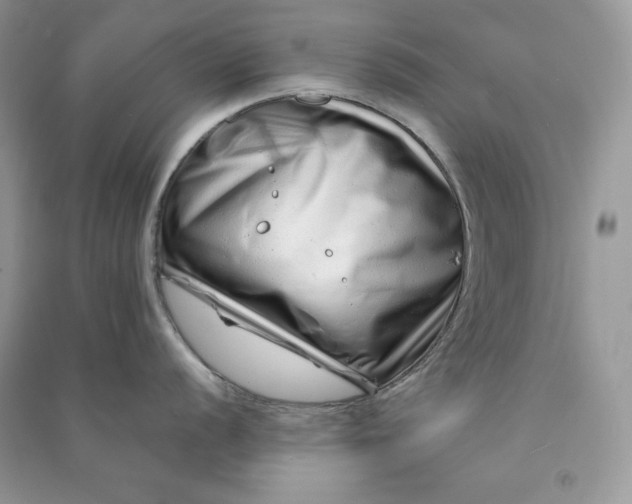 X0000090871056200708101330