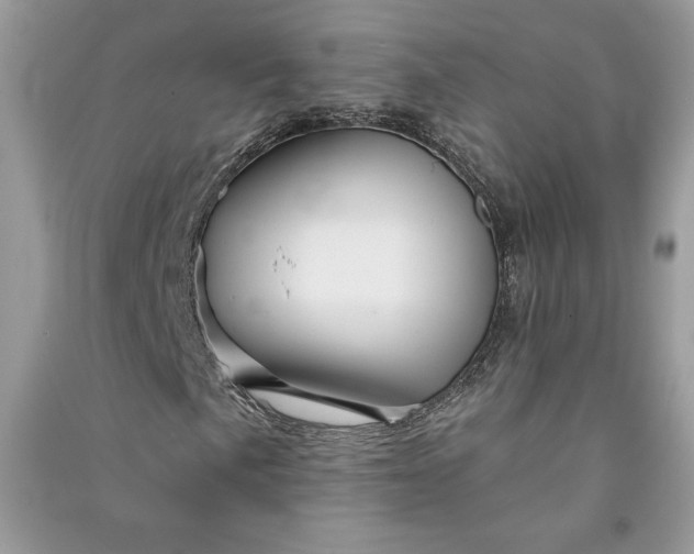 X0000090871057200708101329