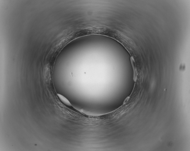 X0000090871058200708101329