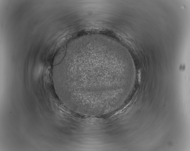 X0000090871059200708101329