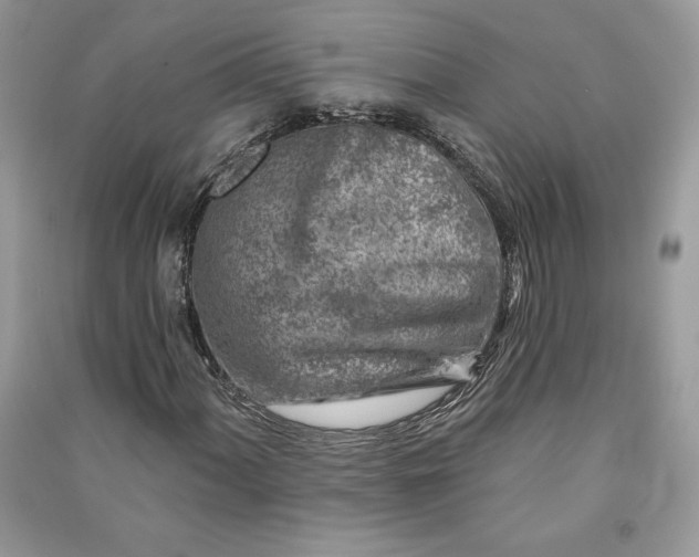 X0000090871060200708101329