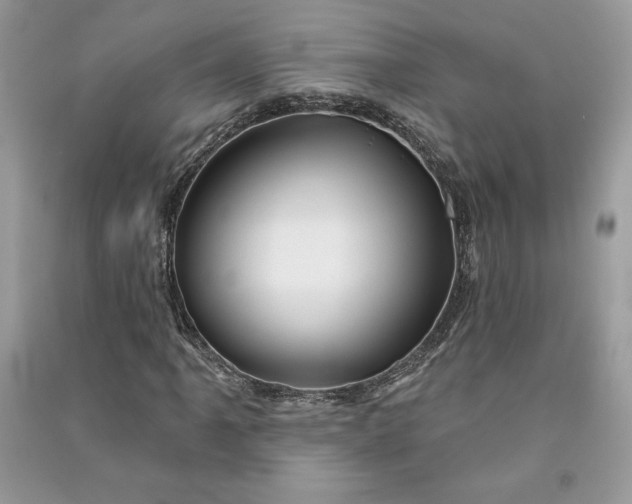 X0000090871061200708101329