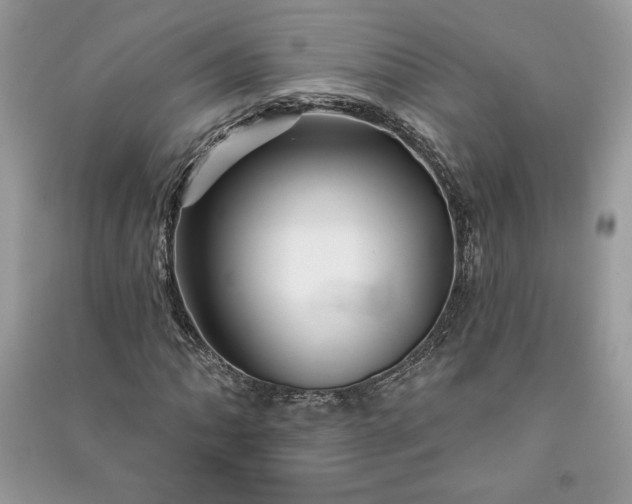 X0000090871062200708101329