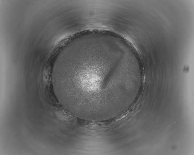 X0000090871063200708101329