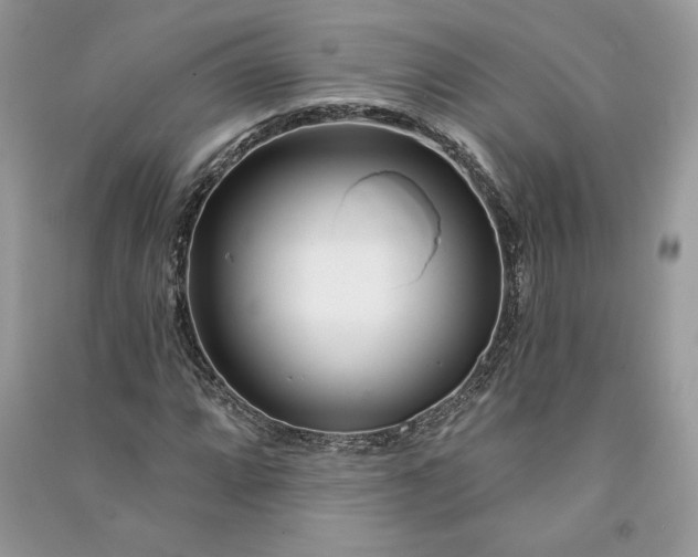 X0000090871064200708101329