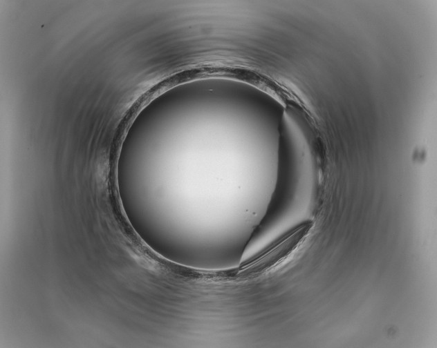 X0000090871065200708101329