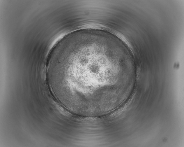 X0000090871067200708101329