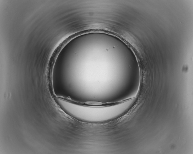 X0000090871068200708101329