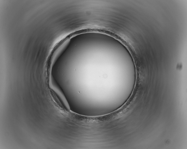 X0000090871070200708101329