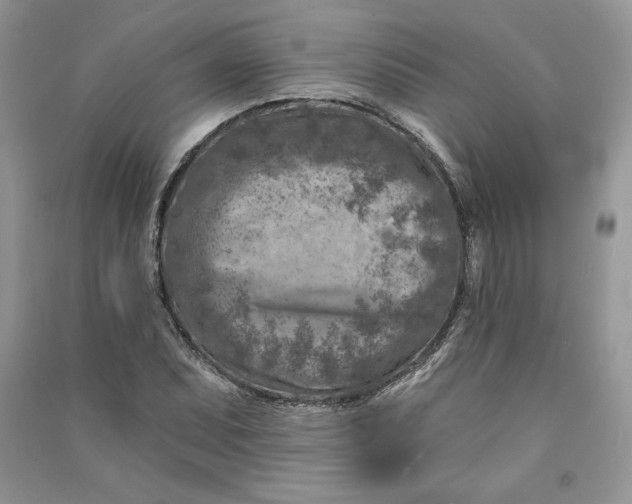 X0000090871071200708101329