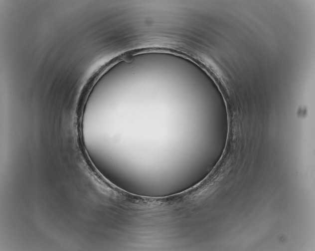 X0000090871072200708101329