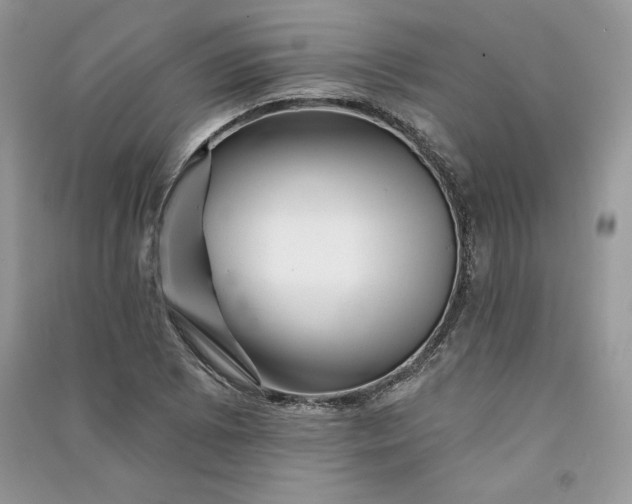 X0000090871073200708101329