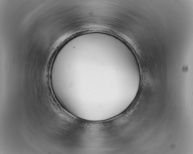 X0000090871074200708101329