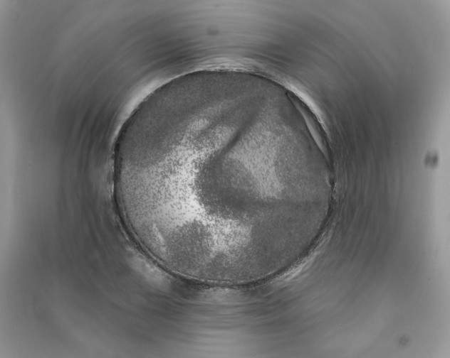 X0000090871075200708101329