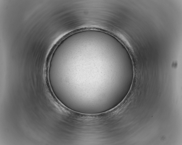 X0000090871076200708101329