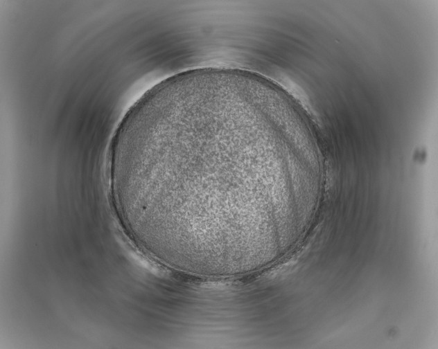 X0000090871078200708101329