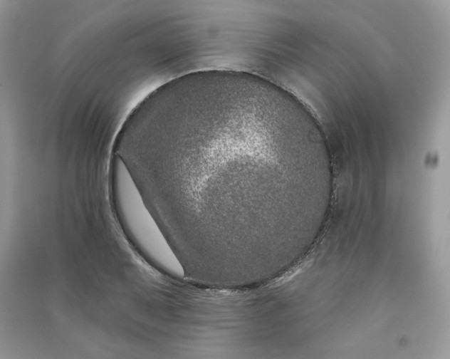 X0000090871079200708101329