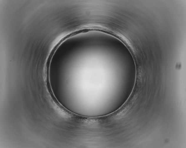 X0000090871082200708101329