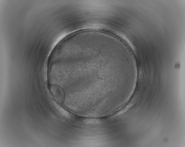 X0000090871083200708101329