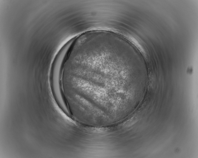 X0000090871084200708101329