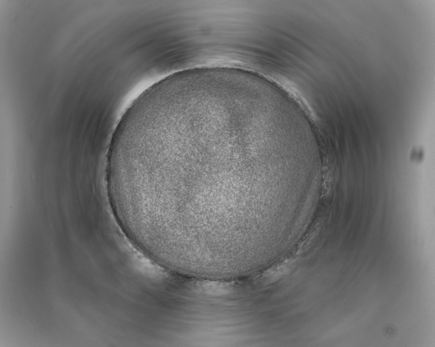 X0000090871086200708101329