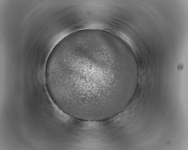 X0000090871087200708101329