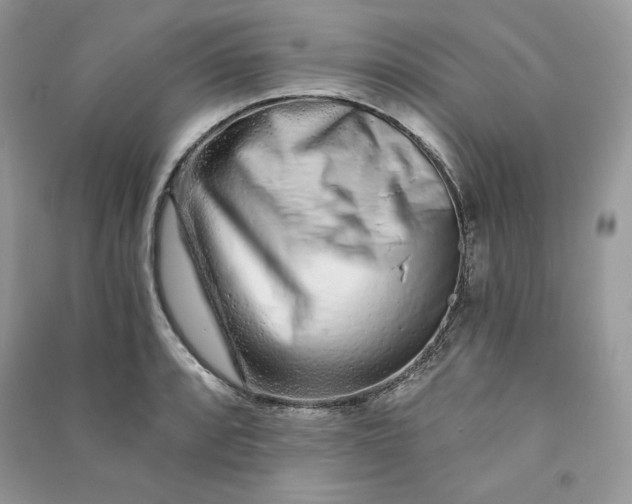 X0000090871088200708101329