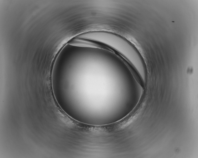 X0000090871089200708101329