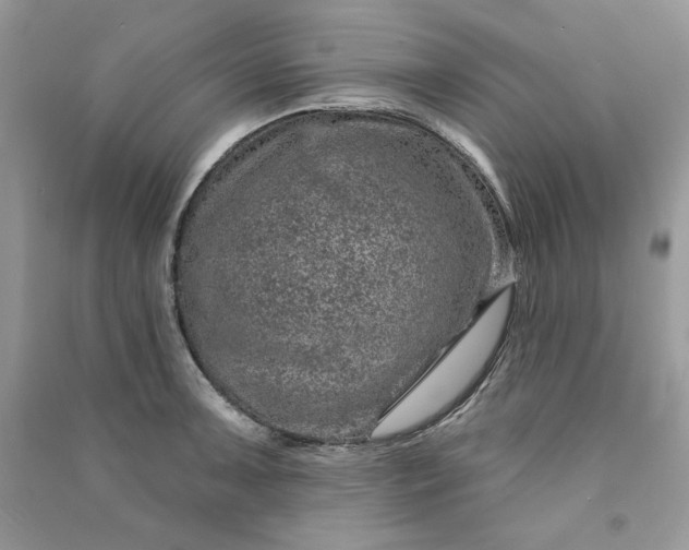 X0000090871091200708101329