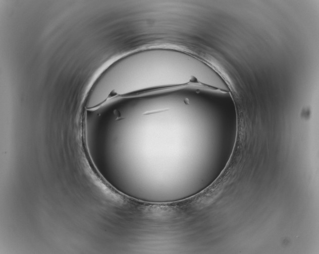 X0000090871092200708101329