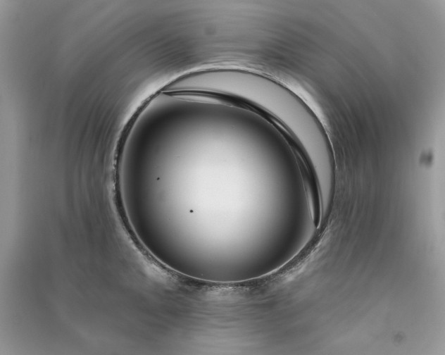 X0000090871093200708101329