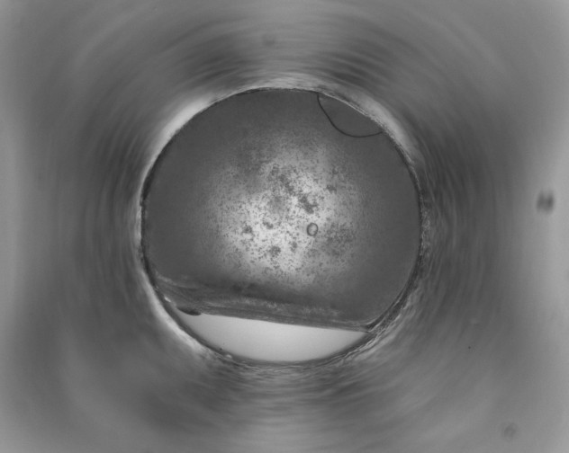 X0000090871095200708101329