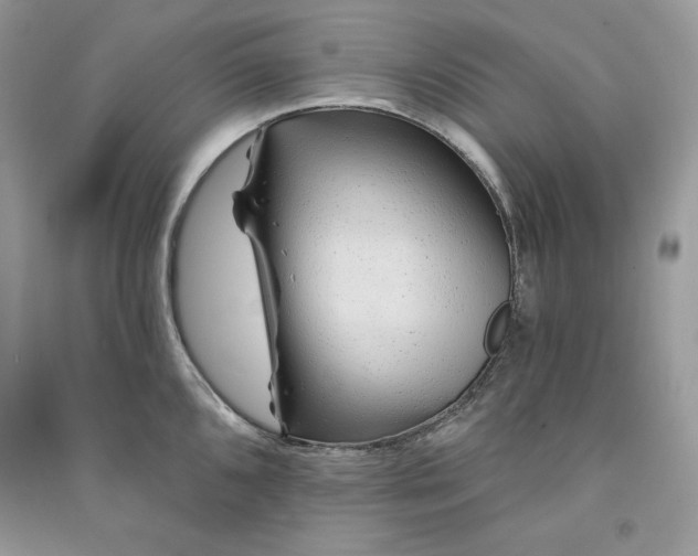 X0000090871096200708101329