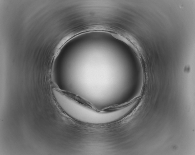 X0000090871097200708101329