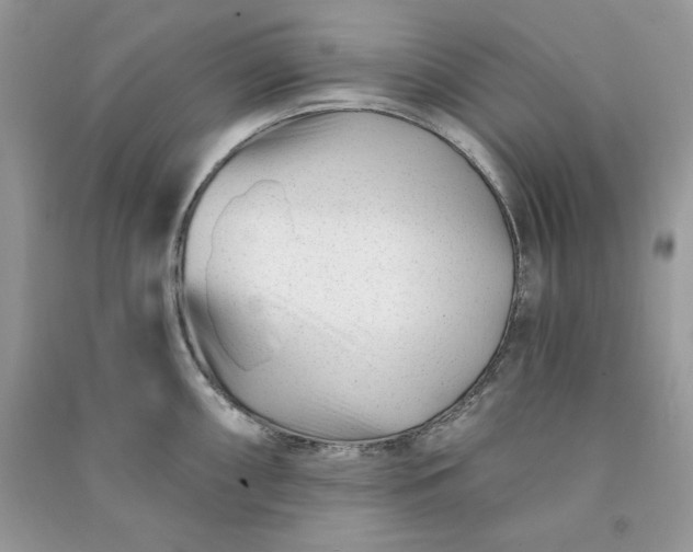 X0000090871098200708101329