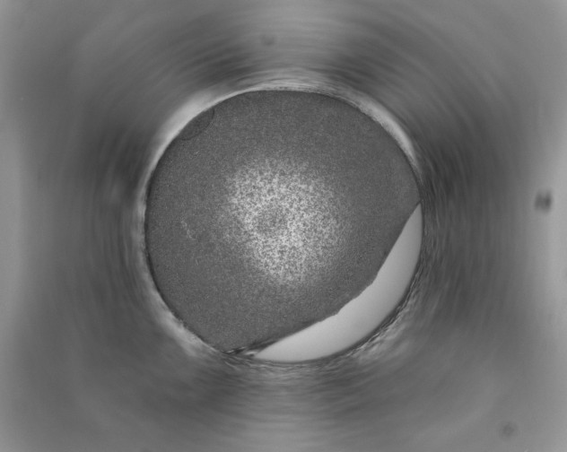 X0000090871099200708101329