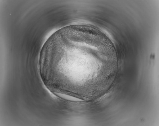 X0000090871103200708101328