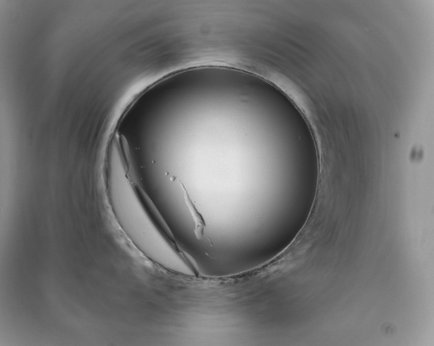 X0000090871104200708101328