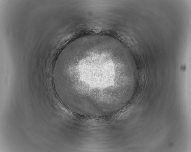 X0000090871105200708101328