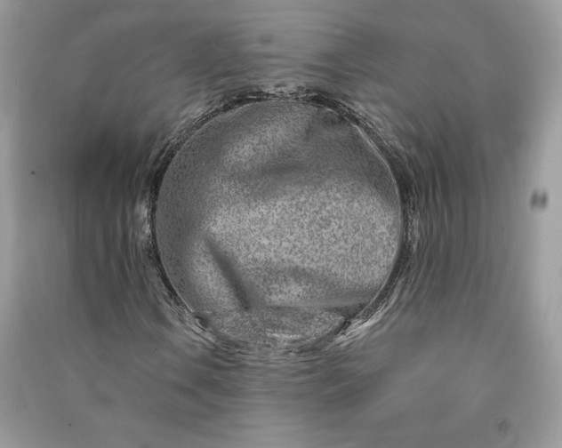 X0000090871106200708101328