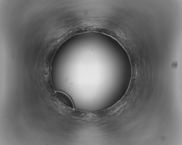 X0000090871109200708101328