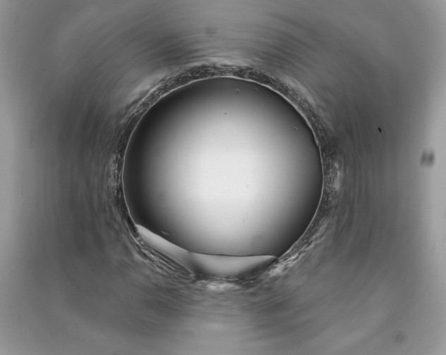 X0000090871110200708101328