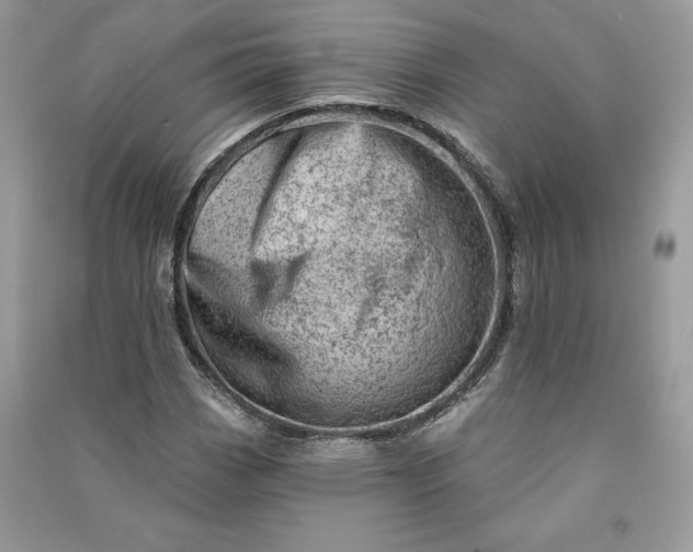 X0000090871113200708101328