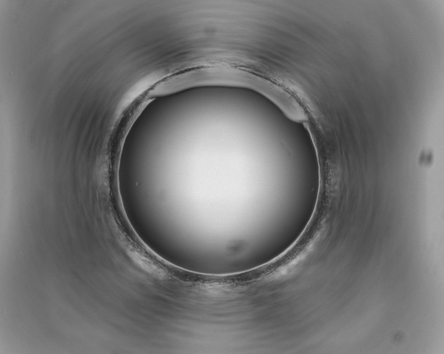 X0000090871114200708101328