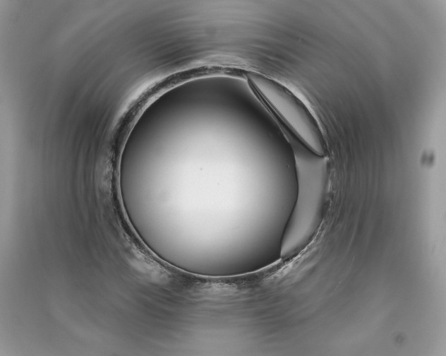 X0000090871115200708101328