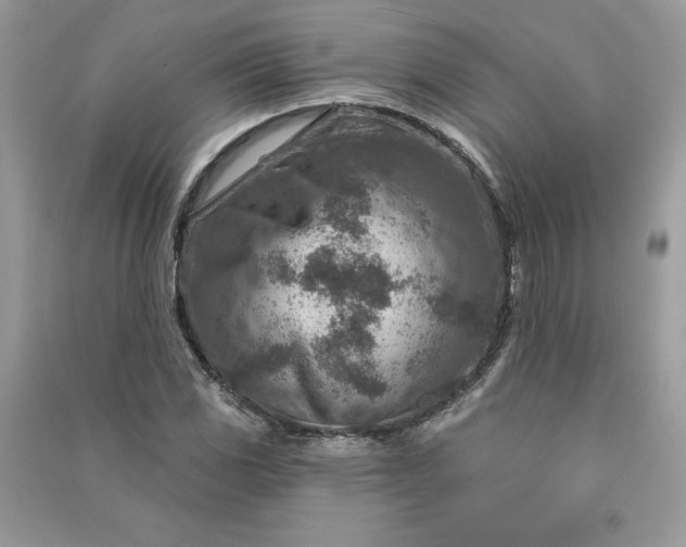 X0000090871117200708101328