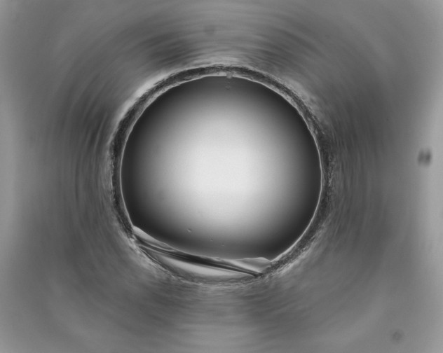 X0000090871118200708101328